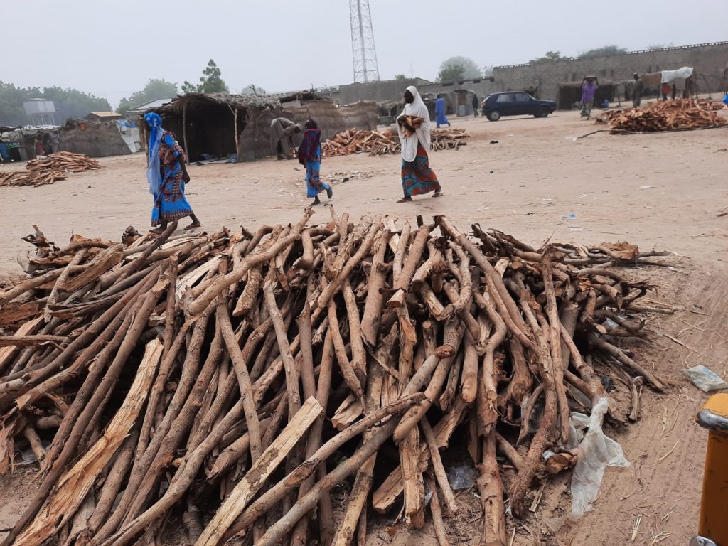 Most IDPs in Borno rely on firewood to cook their meals and as a source of income.