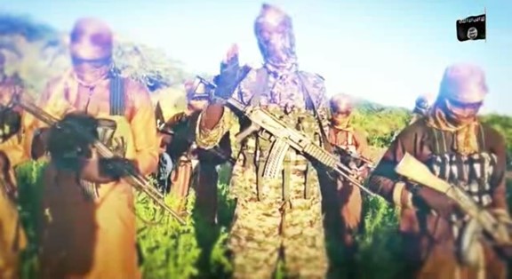 Boko Haram Lake Chad Franchise Showcases Weapons, Sniper