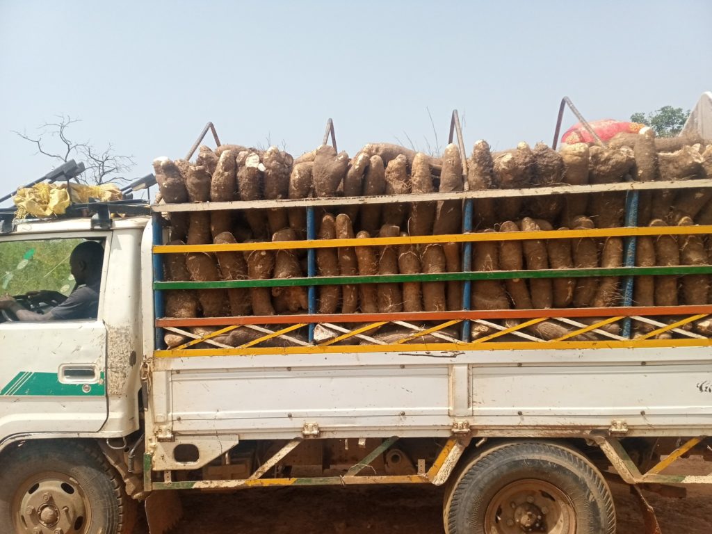 A lorry loaded with Yams moving out of Igbonla Kingdom, Irepodun LGA of Kwara State